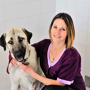 Géraldine, assistante vétérinaire, clinique du Pigeonnier à Avignon
